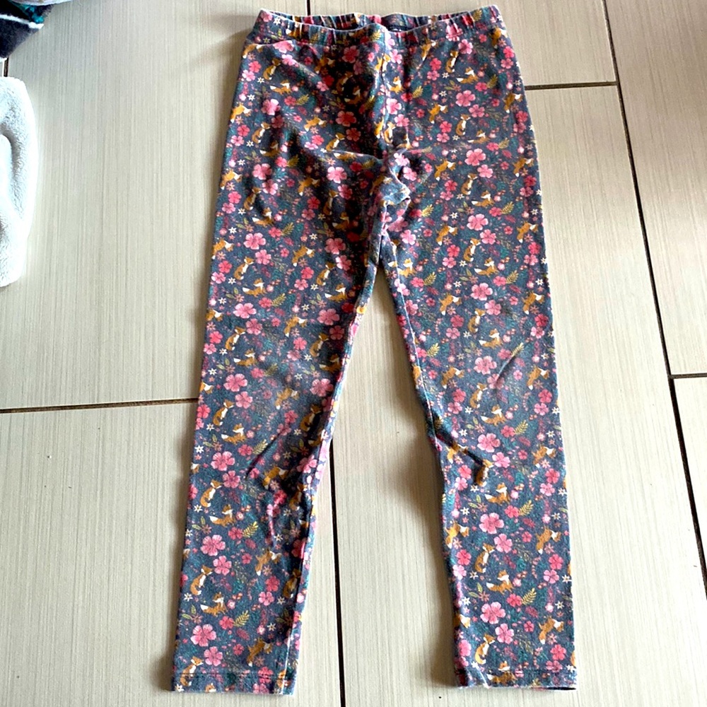 Gray fox with flower leggings
